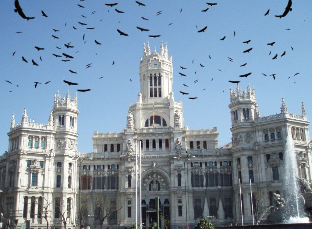 Bandada de Buitres en el Ayuntamiento de Madrid