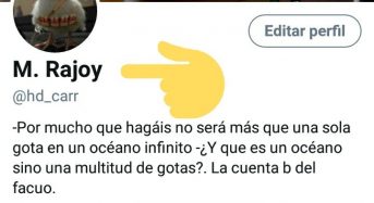 Una legión de tuiteros comandados por @hd_carr se cambian el nombre a M. Rajoy