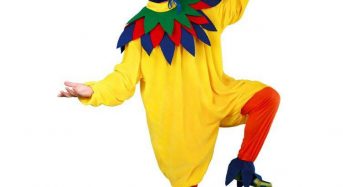 El disfraz de gallo «chivato» el favorito entre las comparsas carnavaleras del Partido Popular