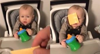 Varios detenidos por maltrato infantil por participar en el Cheese Challenge.