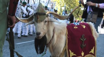 VOX presentará a la cabra de la Legión camo candidata a la alcaldía de Melilla.