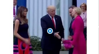 Cómo hacer la «cobra de mano» a Donald Trump en 2 sencillos pasos