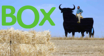 Se filtra el nuevo cartel electoral de BOX para las elecciones del 26 de Mayo.