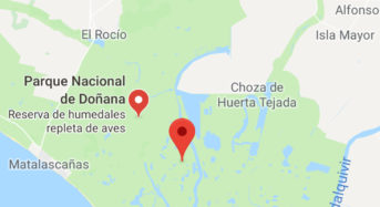 Podemos planea secar Doñana y construir allí un mega centro para refugiados al que llamarían Doñana D’or.