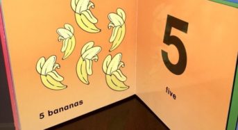 El gobierno encarga un libro para enseñar a los niños a hacer recuentos electorales.